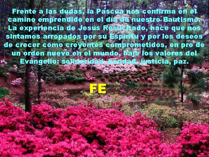 Frente a las dudas, la Pascua nos confirma en el camino emprendido en el
