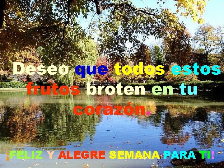 Deseo que todos estos frutos broten en tu corazón. ¡FELIZ Y ALEGRE SEMANA PARA