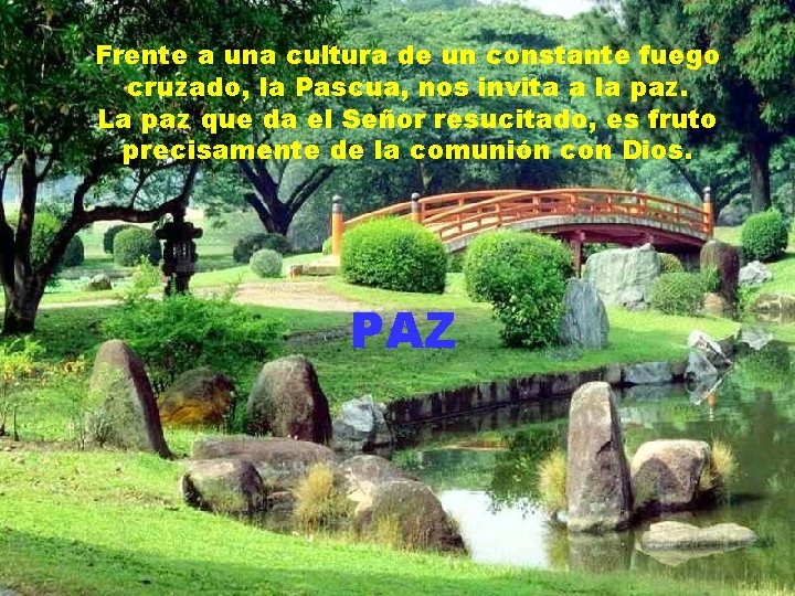 Frente a una cultura de un constante fuego cruzado, la Pascua, nos invita a