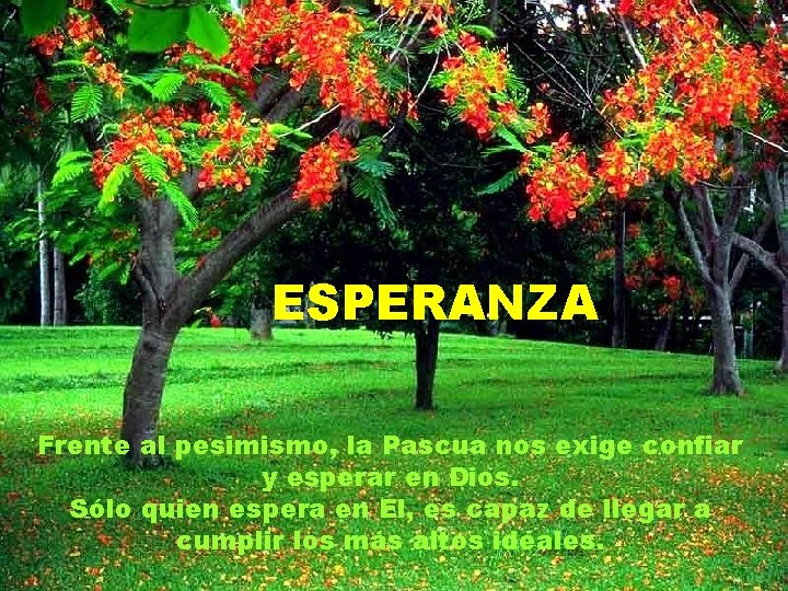 ESPERANZA Frente al pesimismo, la Pascua nos exige confiar y esperar en Dios. Sólo