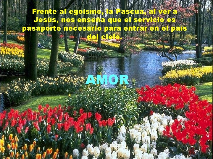 Frente al egoísmo, la Pascua, al ver a Jesús, nos enseña que el servicio