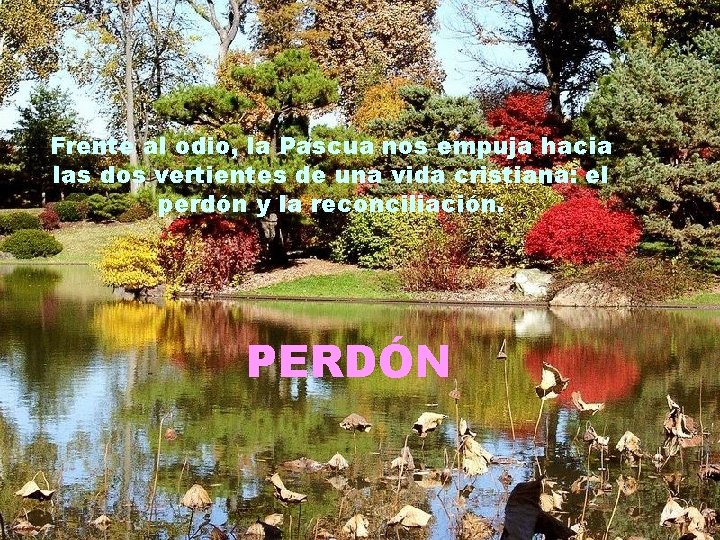 Frente al odio, la Pascua nos empuja hacia las dos vertientes de una vida