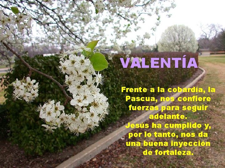 VALENTÍA Frente a la cobardía, la Pascua, nos confiere fuerzas para seguir adelante. Jesús