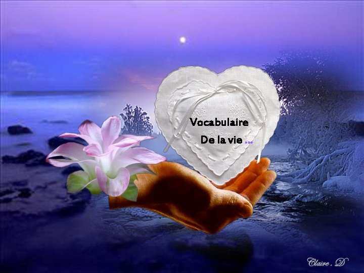 Vocabulaire De la vie … 