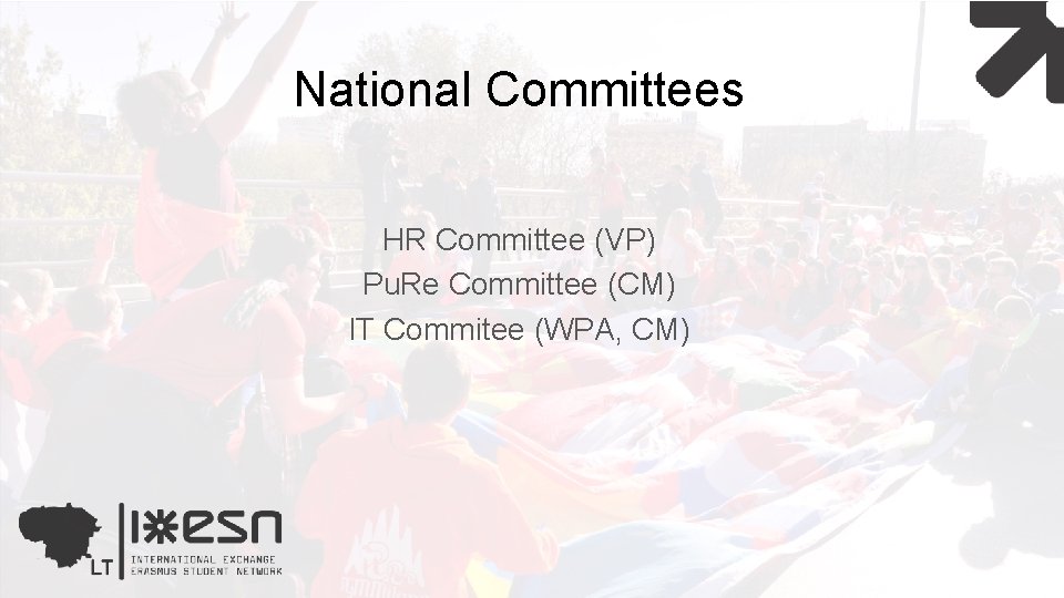 National Committees HR Committee (VP) Pu. Re Committee (CM) IT Commitee (WPA, CM) 