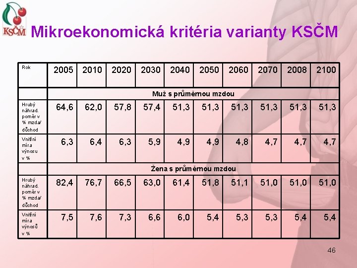 Mikroekonomická kritéria varianty KSČM Rok 2005 2010 2020 2030 2040 2050 2060 2070 2008