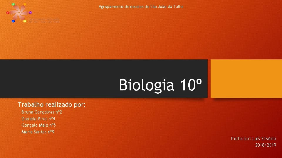 Agrupamento de escolas de São João da Talha Biologia 10º Trabalho realizado por: Bruna