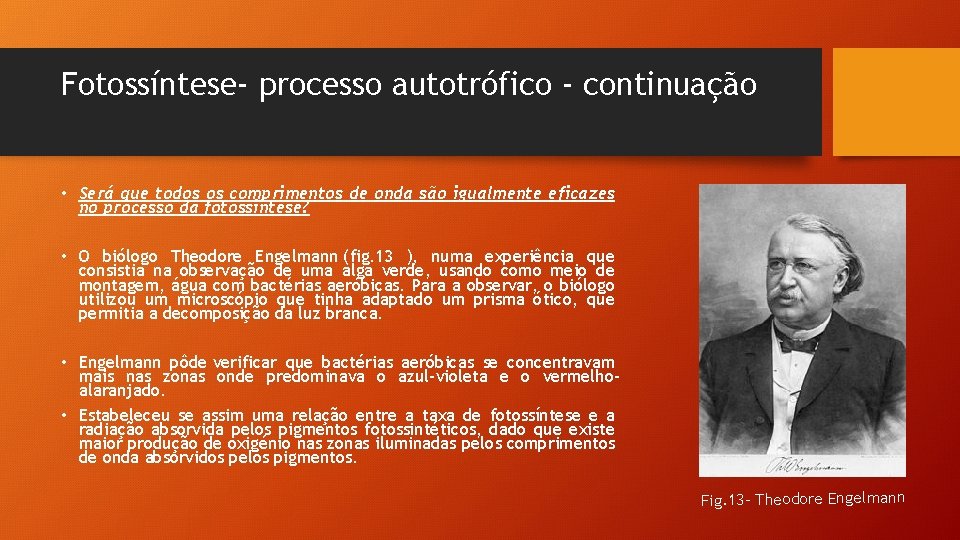 Fotossíntese- processo autotrófico - continuação • Será que todos os comprimentos de onda são