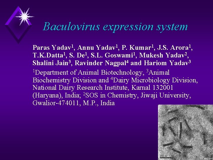 Baculovirus expression system Paras Yadav 1, Annu Yadav 1, P. Kumar 1, J. S.