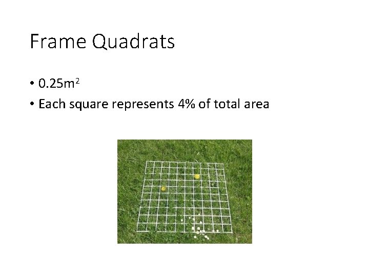 Frame Quadrats • 0. 25 m 2 • Each square represents 4% of total