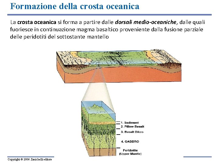 Formazione della crosta oceanica La crosta oceanica si forma a partire dalle dorsali medio-oceaniche,