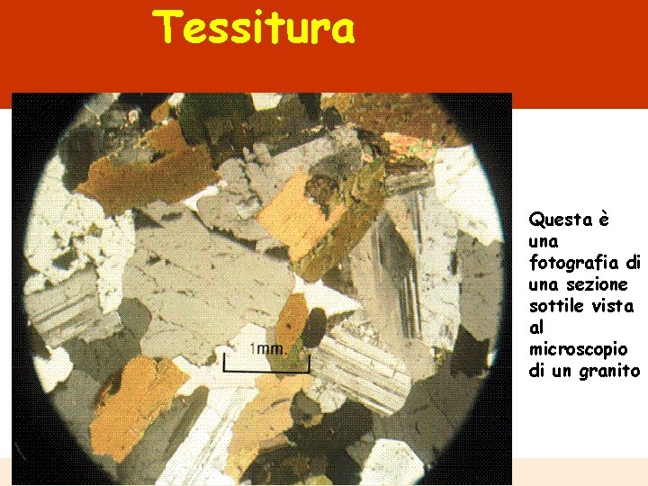 Tessitura Questa è una fotografia di una sezione sottile vista al microscopio di un