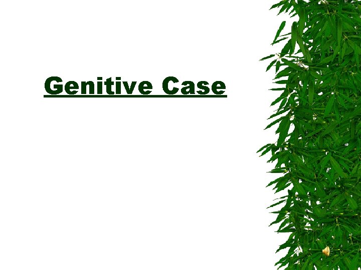 Genitive Case Genitive Case