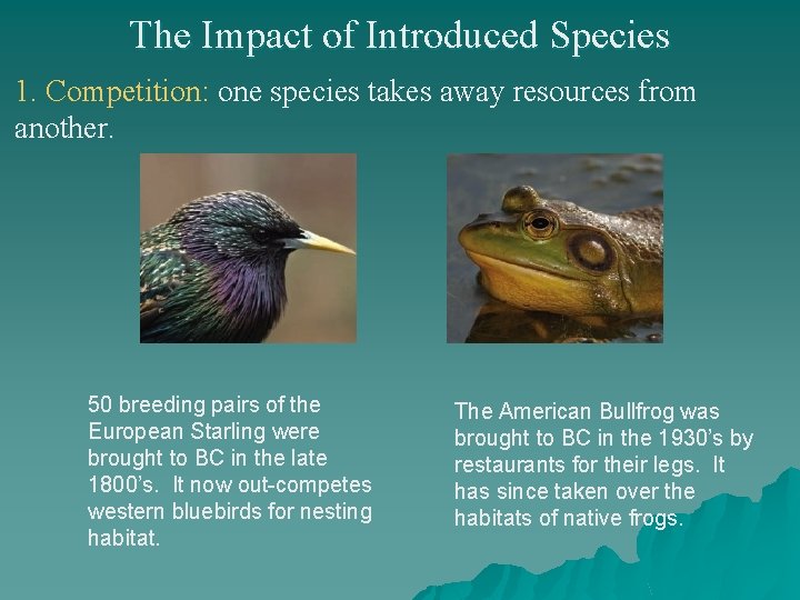 The Impact of Introduced Species 1. Competition: one species takes away resources from another.