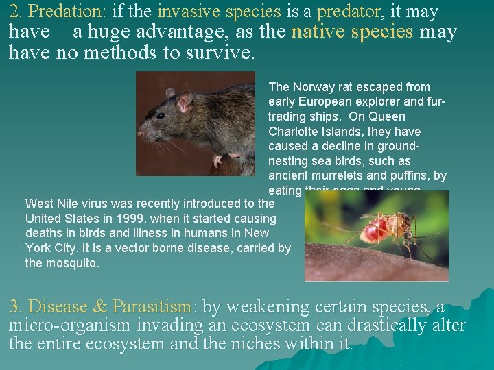 2. Predation: if the invasive species is a predator, it may have a huge