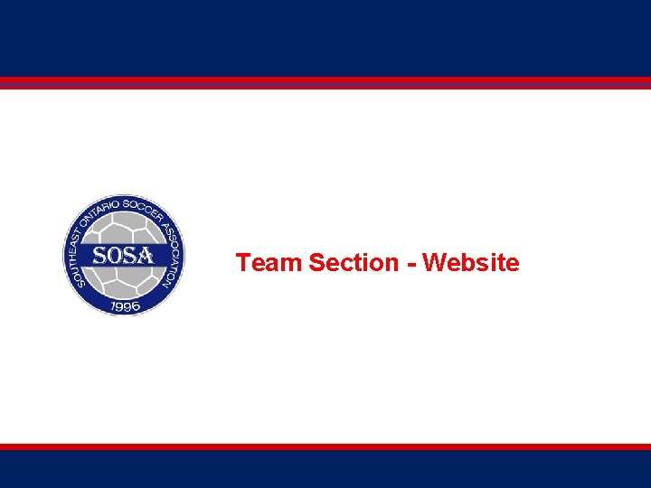 Team Section - Website 