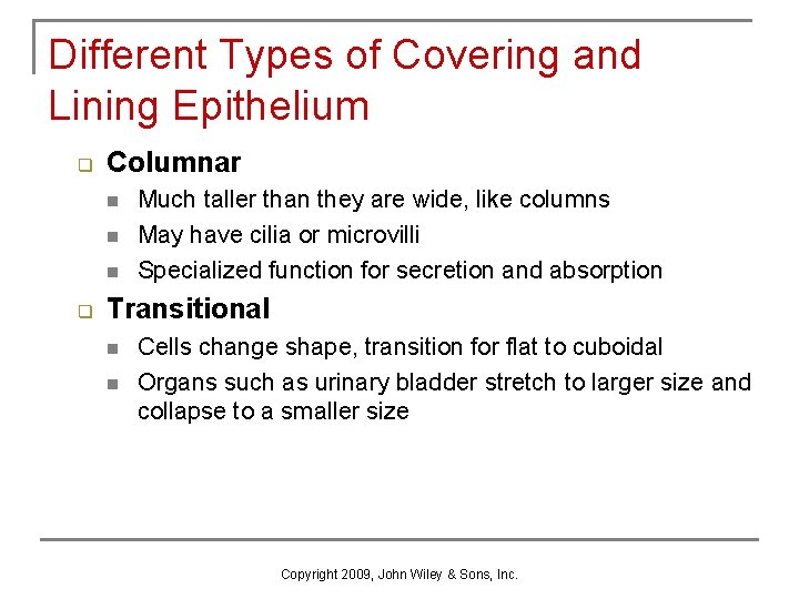 Different Types of Covering and Lining Epithelium q Columnar n n n q Much