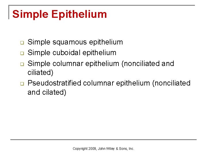 Simple Epithelium q q Simple squamous epithelium Simple cuboidal epithelium Simple columnar epithelium (nonciliated