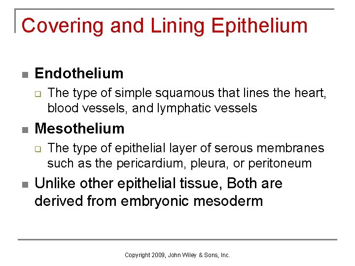 Covering and Lining Epithelium n Endothelium q n Mesothelium q n The type of