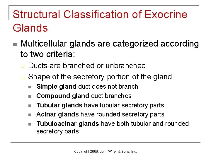 Structural Classification of Exocrine Glands n Multicellular glands are categorized according to two criteria: