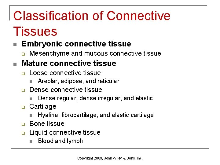 Classification of Connective Tissues n Embryonic connective tissue q n Mesenchyme and mucous connective