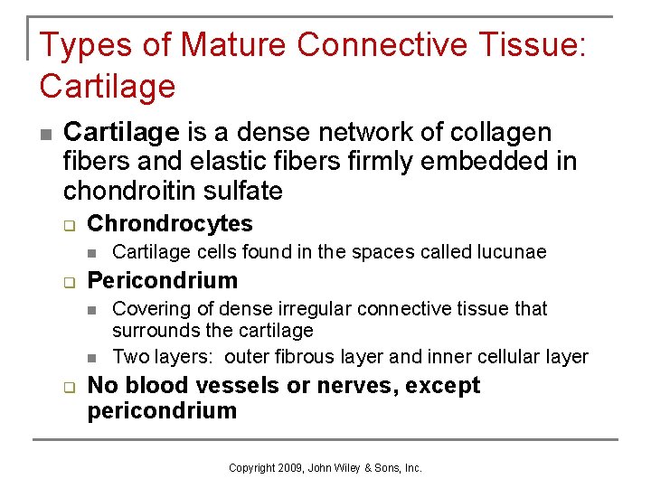 Types of Mature Connective Tissue: Cartilage n Cartilage is a dense network of collagen
