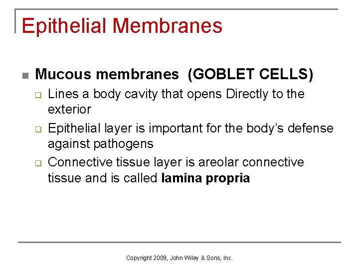 Epithelial Membranes n Mucous membranes (GOBLET CELLS) q q q Lines a body cavity