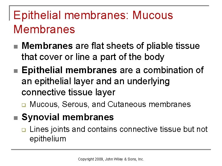 Epithelial membranes: Mucous Membranes n n Membranes are flat sheets of pliable tissue that