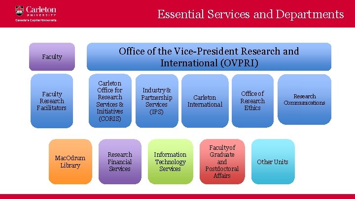 Essential Services and Departments Faculty Research Facilitators Mac. Odrum Library Office of the Vice-President