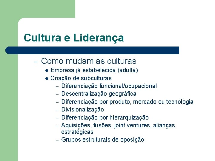 Cultura e Liderança – Como mudam as culturas l l Empresa já estabelecida (adulta)