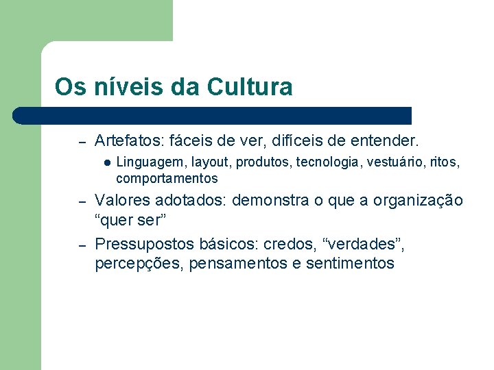 Os níveis da Cultura – Artefatos: fáceis de ver, difíceis de entender. l –