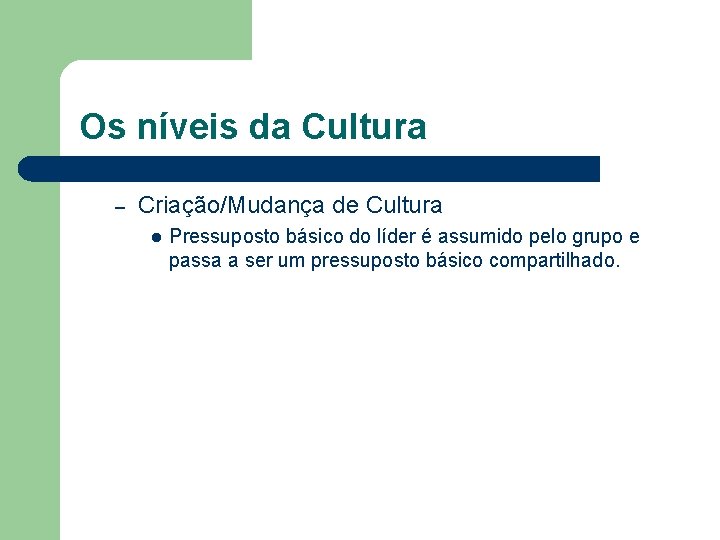 Os níveis da Cultura – Criação/Mudança de Cultura l Pressuposto básico do líder é