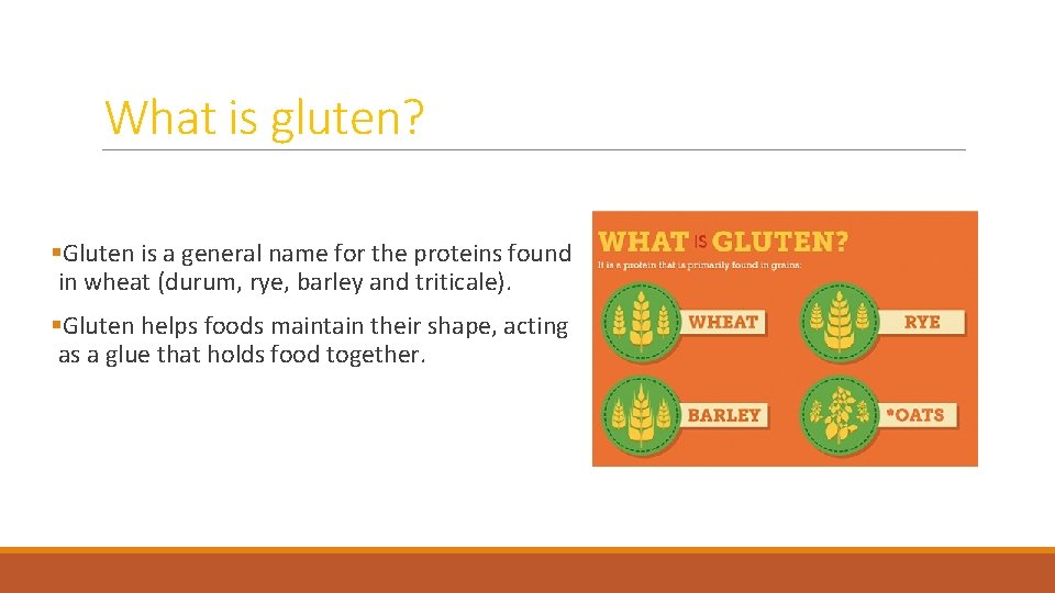 What is gluten? §Gluten is a general name for the proteins found in wheat