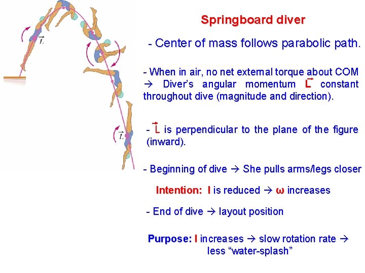 Springboard diver - Center of mass follows parabolic path. - When in air, no