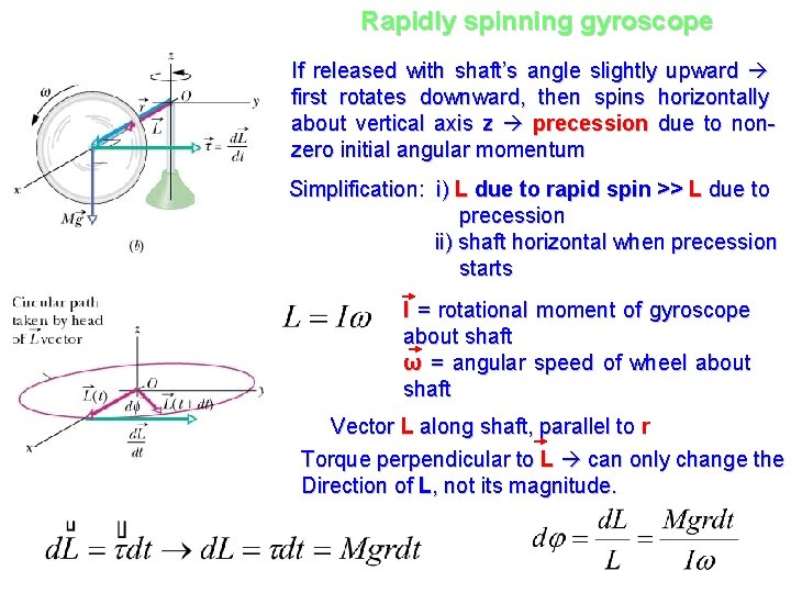 Rapidly spinning gyroscope If released with shaft’s angle slightly upward first rotates downward, then