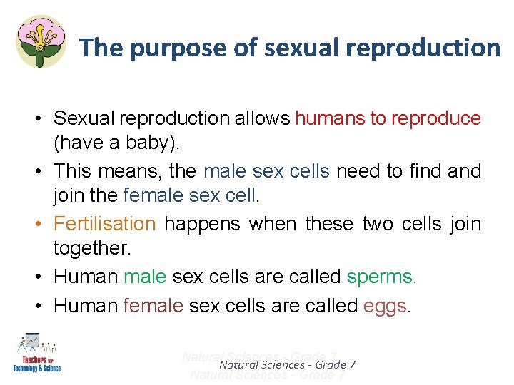 The purpose of sexual reproduction • Sexual reproduction allows humans to reproduce (have a The purpose of sexual reproduction • Sexual reproduction allows humans to reproduce (have a