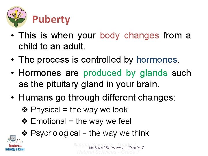 Puberty • This is when your body changes from a child to an adult. Puberty • This is when your body changes from a child to an adult.