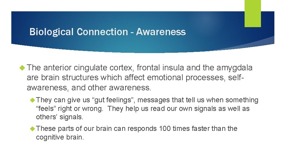 Biological Connection - Awareness The anterior cingulate cortex, frontal insula and the amygdala are