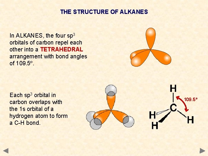 THE STRUCTURE OF ALKANES In ALKANES, the four sp 3 orbitals of carbon repel