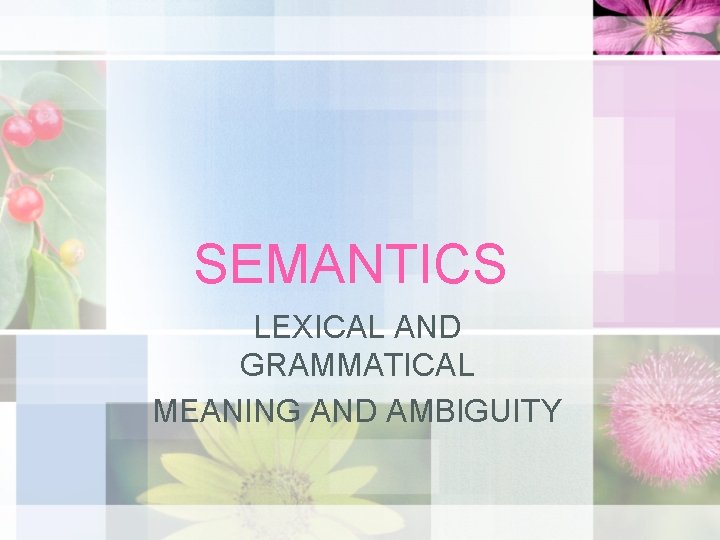 SEMANTICS LEXICAL AND GRAMMATICAL MEANING AND AMBIGUITY 