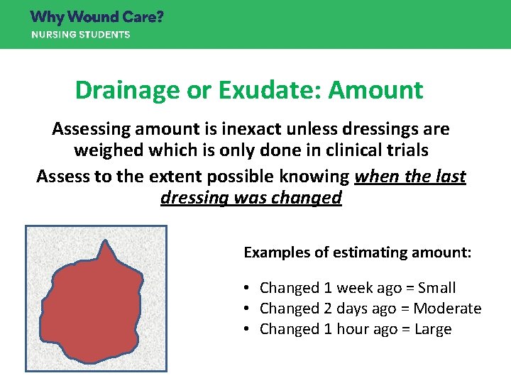 Drainage or Exudate: Amount Assessing amount is inexact unless dressings are weighed which is Drainage or Exudate: Amount Assessing amount is inexact unless dressings are weighed which is