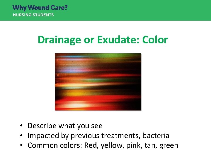 Drainage or Exudate: Color • Describe what you see • Impacted by previous treatments, Drainage or Exudate: Color • Describe what you see • Impacted by previous treatments,