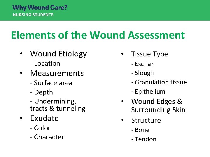 Elements of the Wound Assessment • Wound Etiology - Location • Measurements - Surface Elements of the Wound Assessment • Wound Etiology - Location • Measurements - Surface