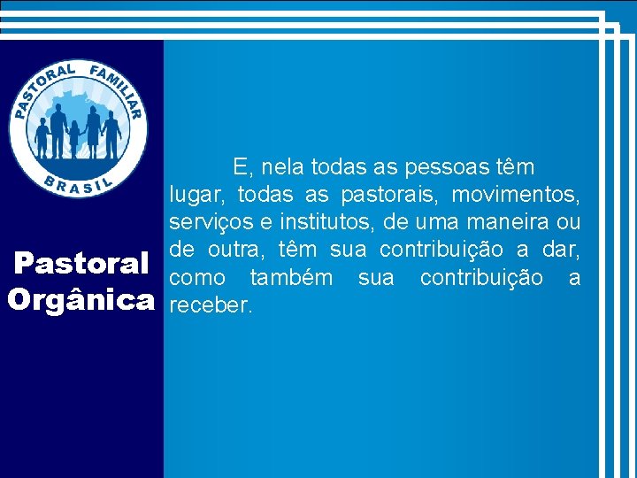 Pastoral Orgânica E, nela todas as pessoas têm lugar, todas as pastorais, movimentos, serviços