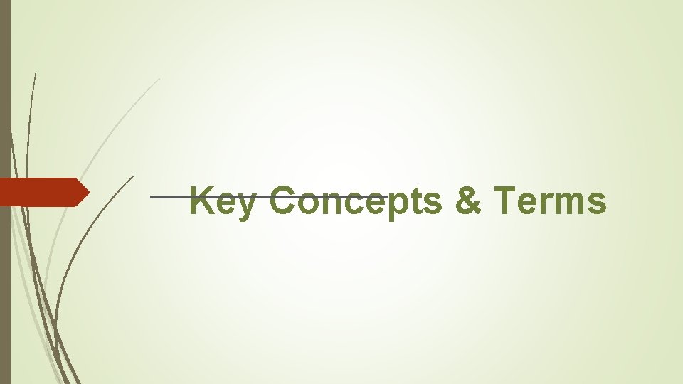 Key Concepts & Terms 