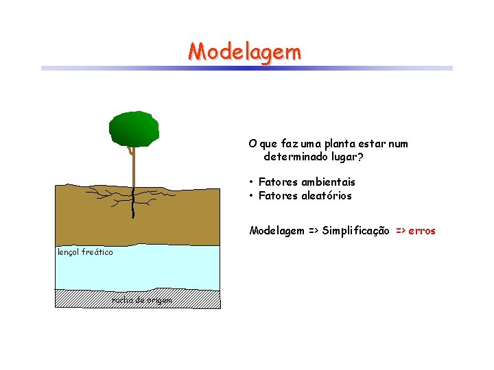 Modelagem O que faz uma planta estar num determinado lugar? • Fatores ambientais •