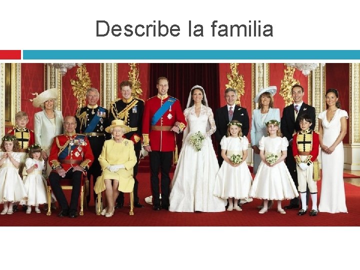 Describe la familia 