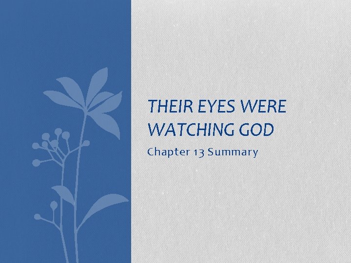 THEIR EYES WERE WATCHING GOD Chapter 13 Summary 