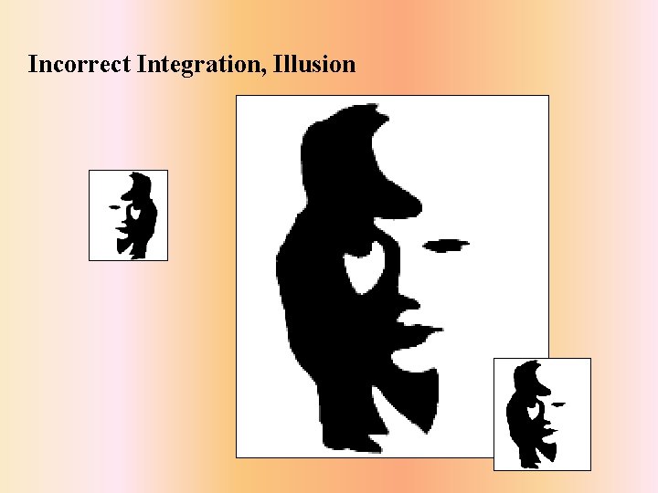 Incorrect Integration, Illusion 