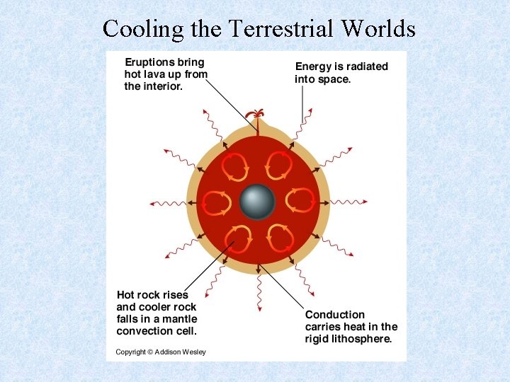 Cooling the Terrestrial Worlds 